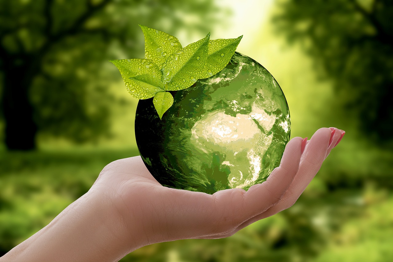 Nature and sustainability